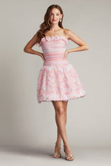 Akina Rosette Appliqu¨¦ Mini Dress