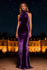Purple Mermaid Halter Neck Long Velvet Holiday Party Dress