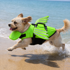 Angelfloat – Reflective Angel Wing Dog Life Jacket