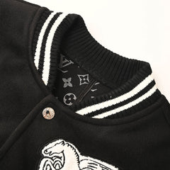 Louis Vuitton New Jacket