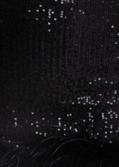 Untamed Aura Feather Detail Mini Dress - Black