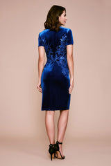 Alvita Embroidered Velvet Dress