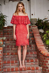 Alba Lace Flounce Dress