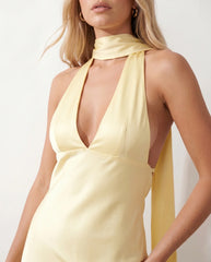 Aleena Cowl Neck Halter Maxi Dress