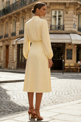 Daffodil Modest High Neck A Line Midi Work Dress with Sleeves