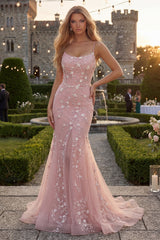Mermiad Blush Lace Spaghetti Straps Long Prom Dress with Appliques