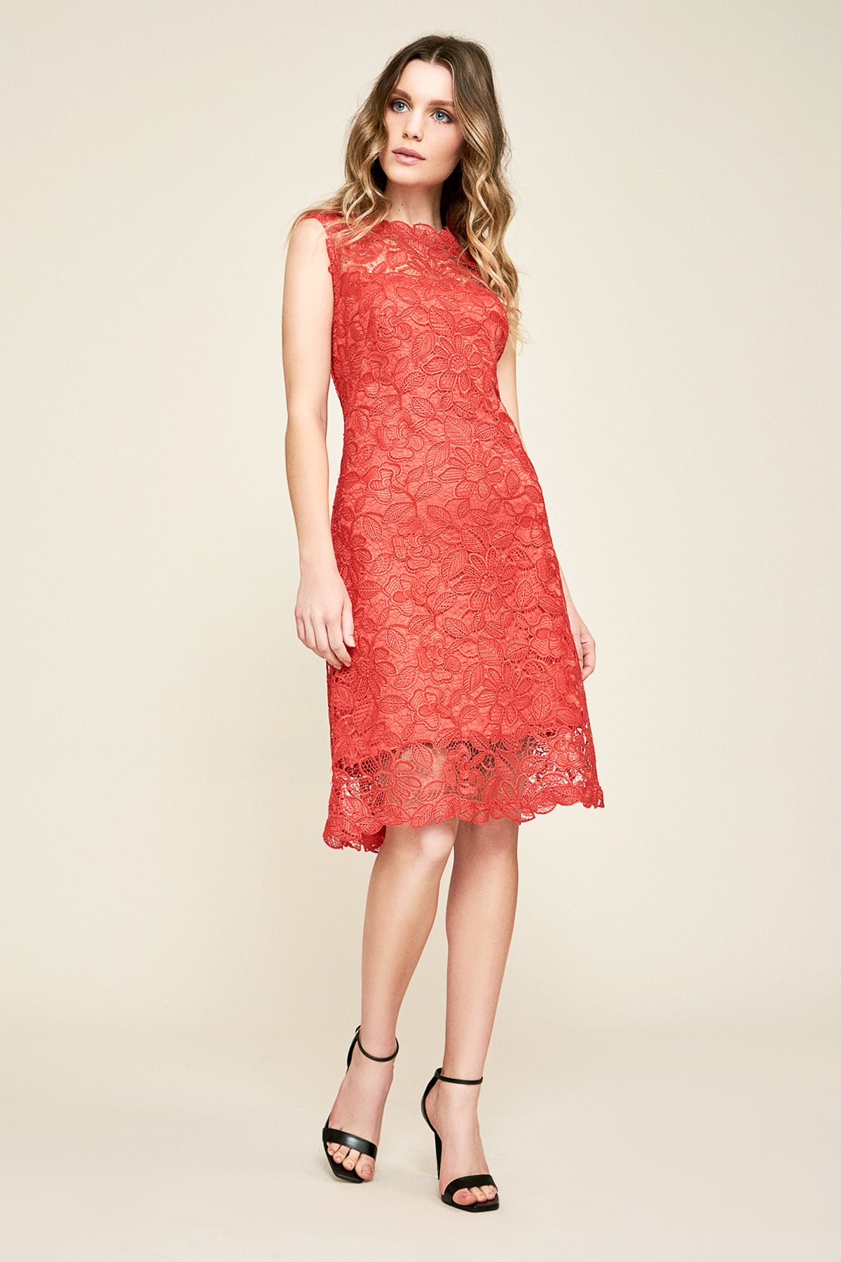Alyssa Corded Lace Sleeveless Dress